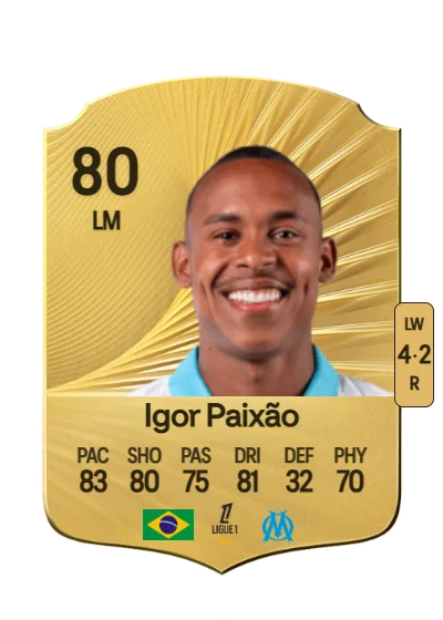 Igor Guilherme Barbosa da Paixão card