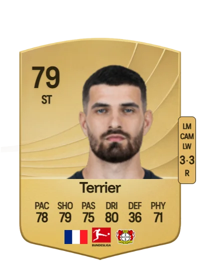 Martin Terrier card