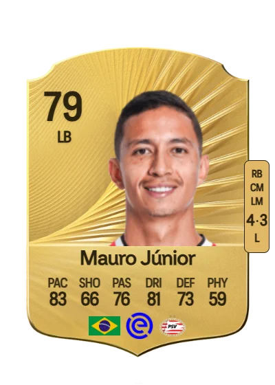 Mauro Jaqueson J. Ferreira Santos card