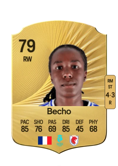 Vicki Becho card