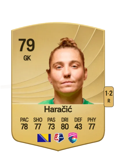 Didi Haračić card