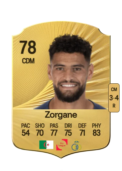 Adem Zorgane card