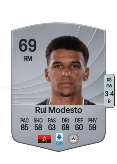 Rui Manuel Muati Modesto card