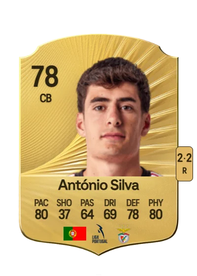 António João Tavares Silva card