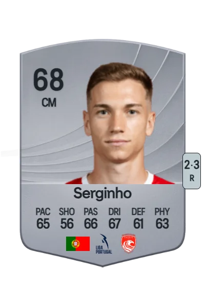Sérgio Miguel Lobo Araújo card