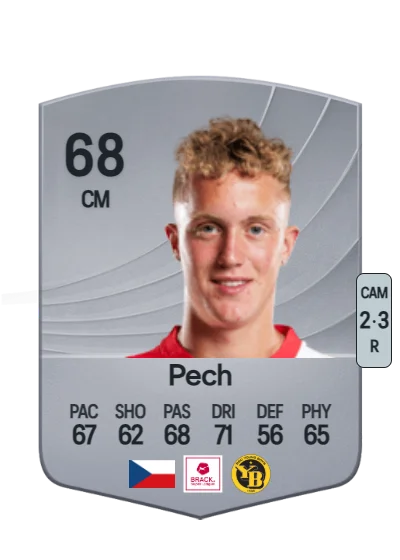 Dominik Pech card