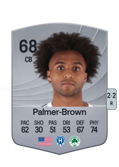 Erik Palmer-Brown card