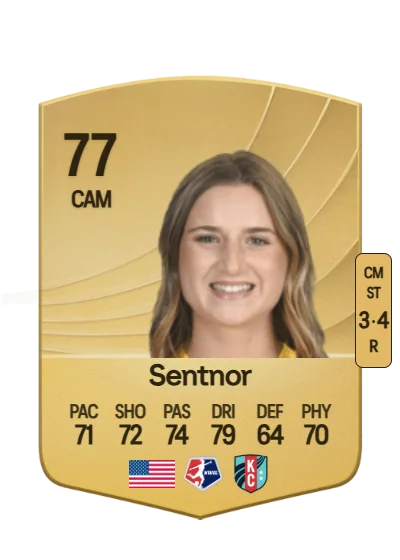Ally Sentnor card