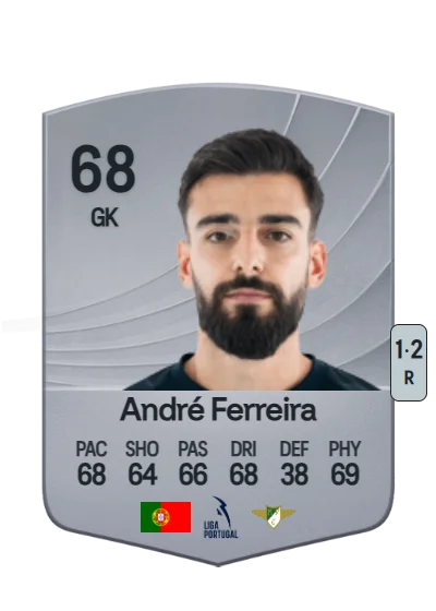 André Filipe M. Ribeiro Ferreira card