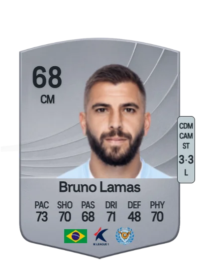 Bruno José Pavani Lamas card