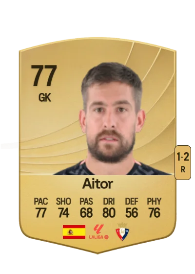 Aitor Fernández card