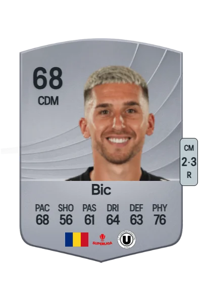 Ovidiu Bic card