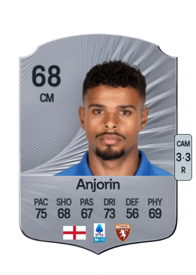 Tino Anjorin card