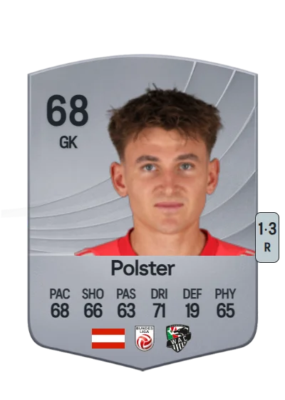 Nikolas Polster card