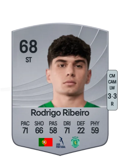Rodrigo Duarte Ribeiro card