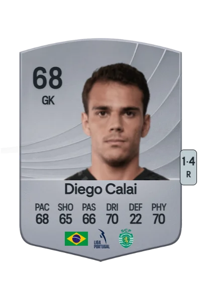 Diego Calai Silva card