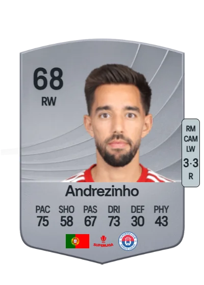 André Miguel Pinto Lopes card