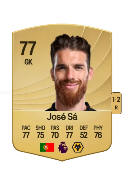 José Pedro Malheiro de Sá card
