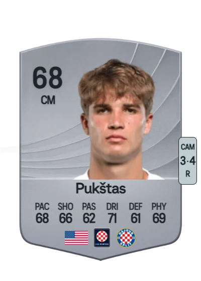 Rokas Pukštas card