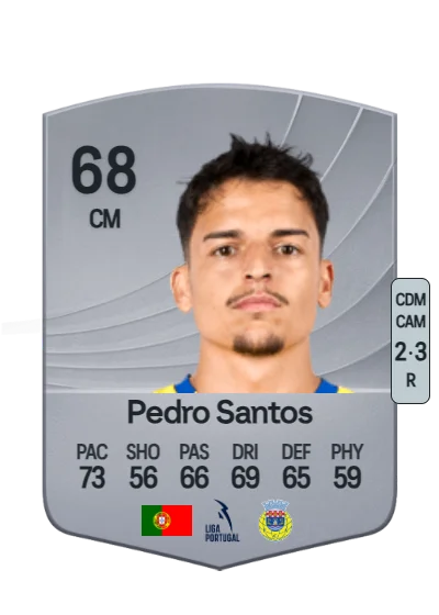 Pedro Carvalho Santos card