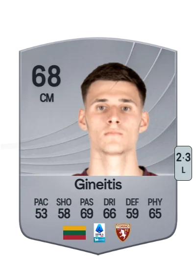 Gvidas Gineitis card