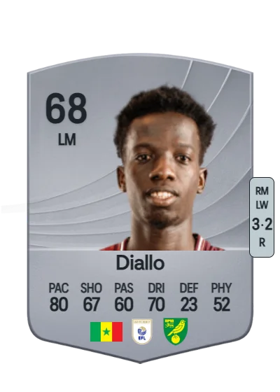 Papa Amadou Diallo card