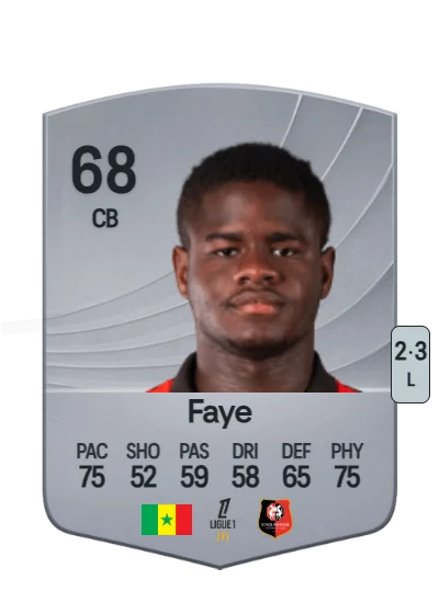 Mikayil Faye card