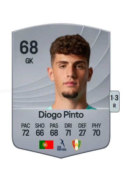 Diogo de Carvalho Pinto card