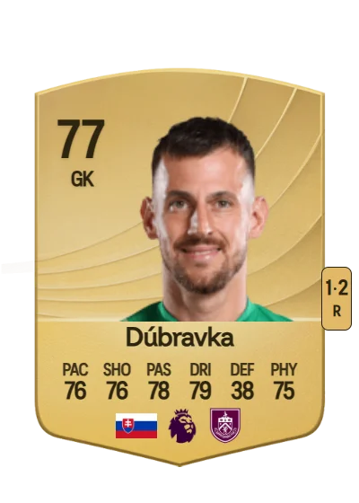 Martin Dúbravka card