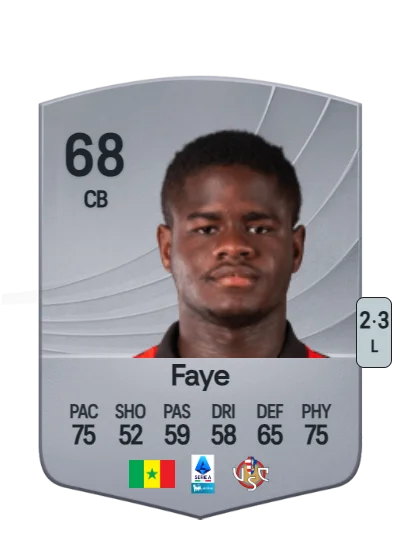 Mikayil Faye card