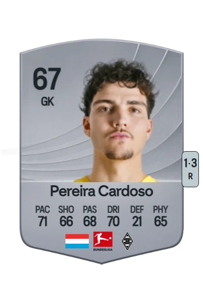 Tiago Pereira Cardoso card