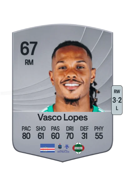 Vasco Rafael Fortes Lopes card
