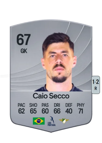 Caio Gobbo Secco card