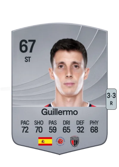 Guillermo Fernández Hierro card