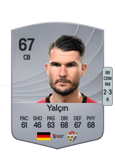 Robin Yalçın card