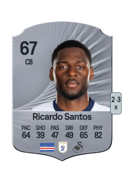 Ricardo Almeida Santos card