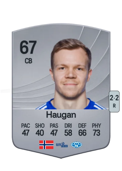 Eirik Haugan card