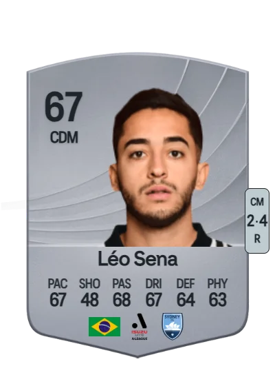 Leonardo de Souza Sena card