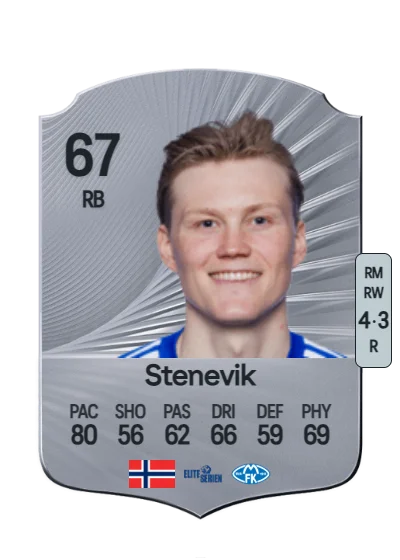 Halldor Stenevik card
