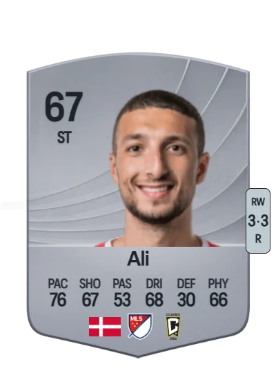 Wessam Abou Ali card