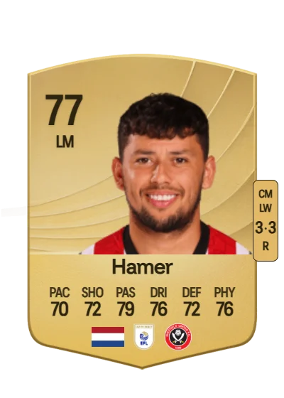 Gustavo Hamer card