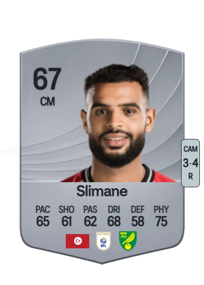 Anis Slimane card
