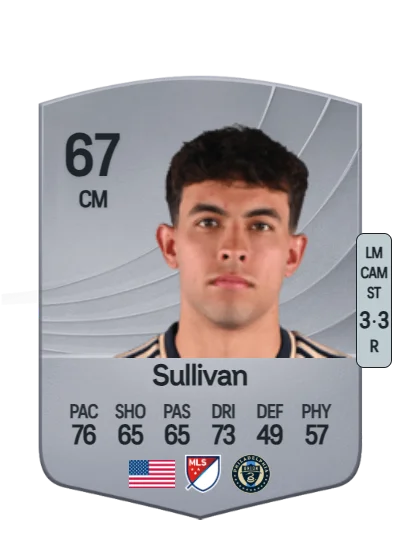 Quinn Sullivan card