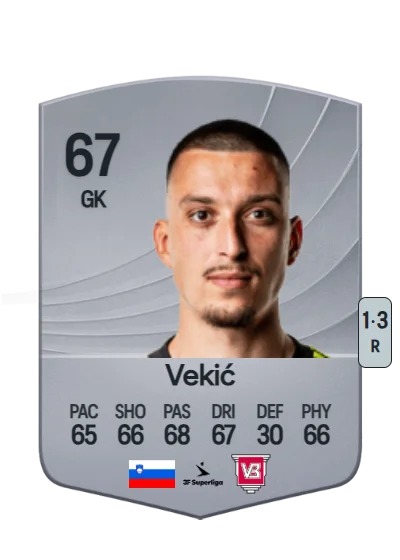 Igor Vekić card