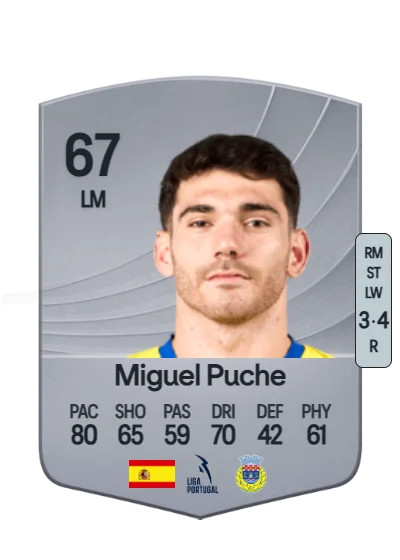 Miguel Puche García card