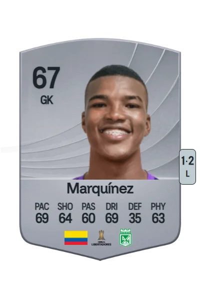 Luis Miguel Marquínez card