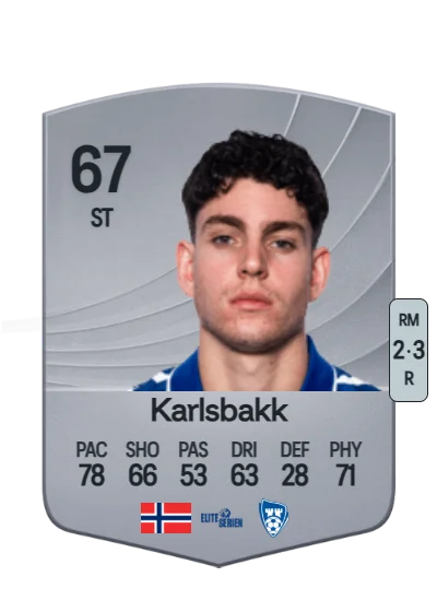 Daniel Karlsbakk card
