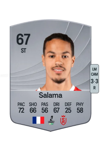 Amine Salama card
