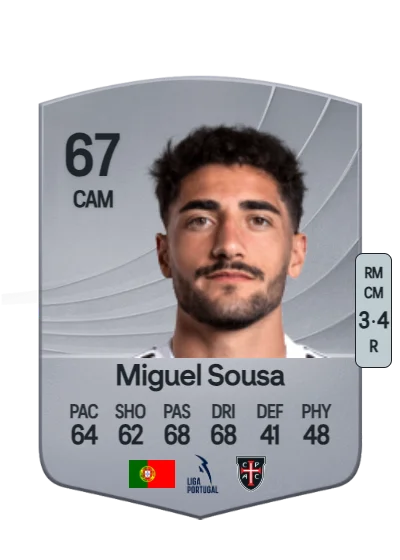 Miguel Ferreira de Sousa card