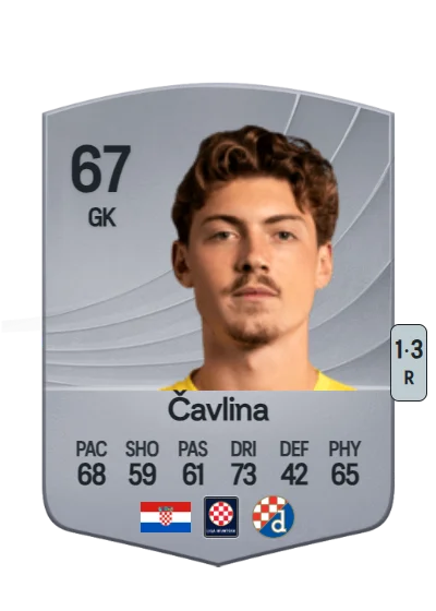 Nikola Čavlina card